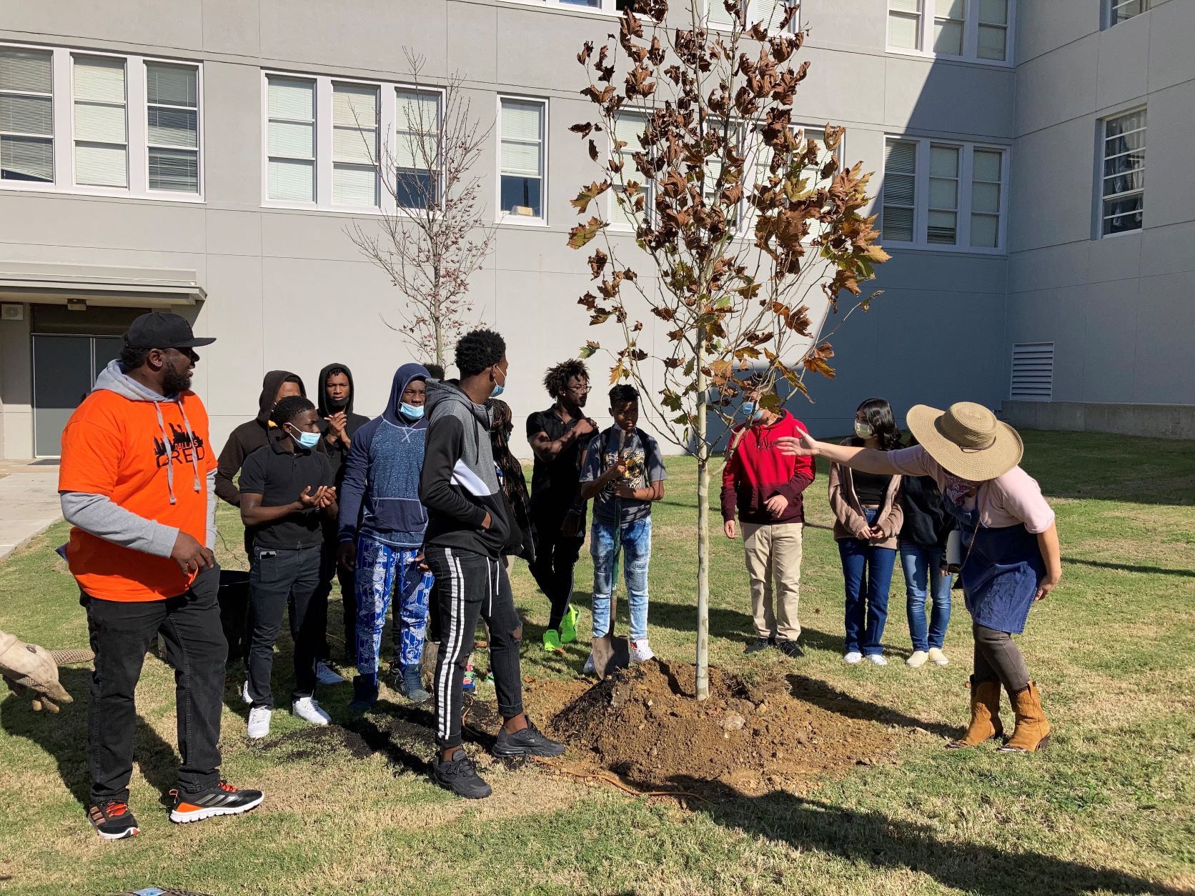 Cool Schools - Texas Trees Foundation