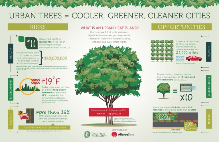 Urban Heat Island Management Study - Texas Trees Foundation