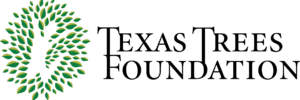 cropped-TexasTreesFoundation_logo_color.png https://texastrees.wpengine.com/wp-content/uploads/2020/12/cropped-TexasTreesFoundation_logo_color.png