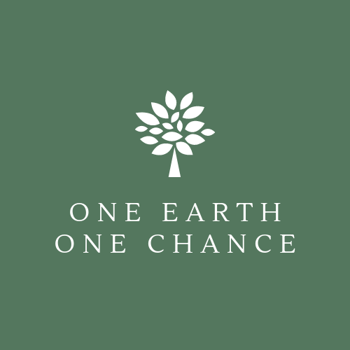 One Earth One Chance Logo