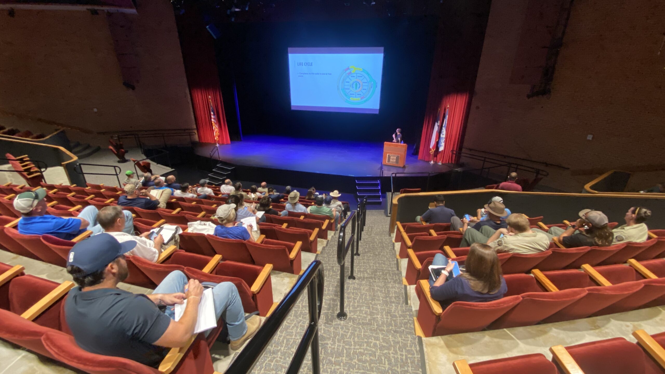 Summer 2022 Emerald Ash Borer Info Session