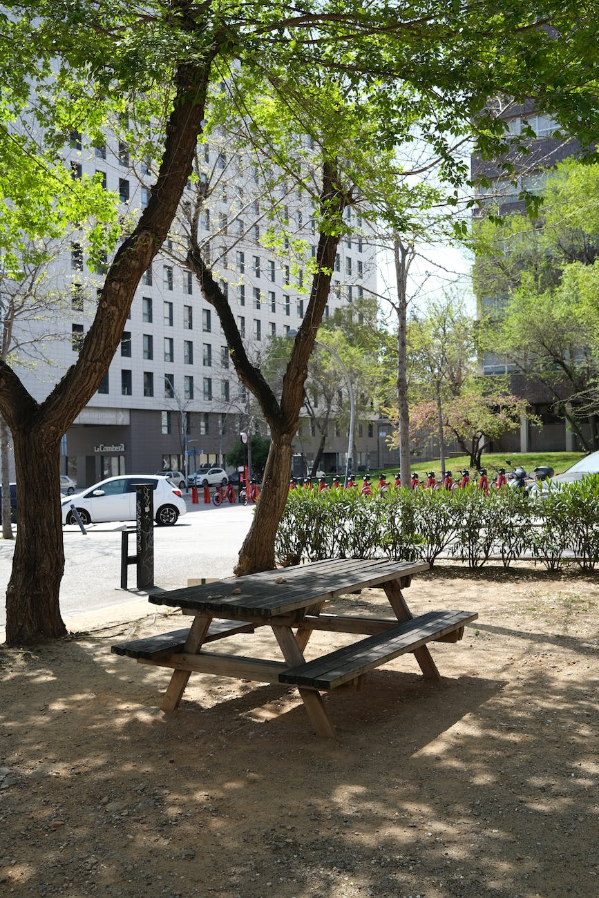 picnic table under the trees