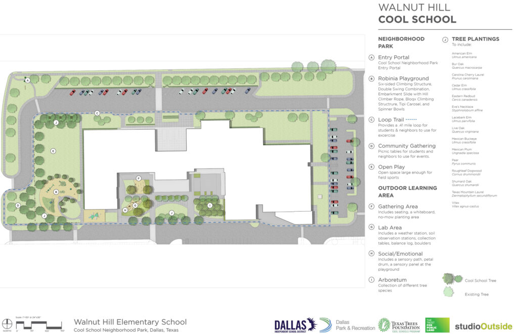 Walnut Hill International Leadership Academy - Texas Trees Foundation