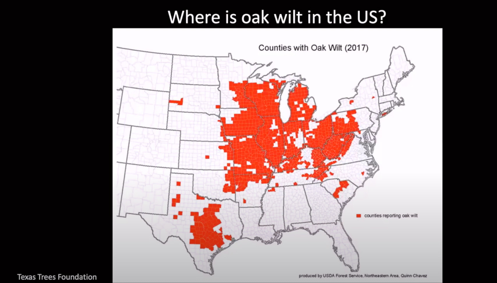 Where is Oak Wilt in U.S.?