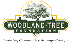 Woodland Tree Foundation