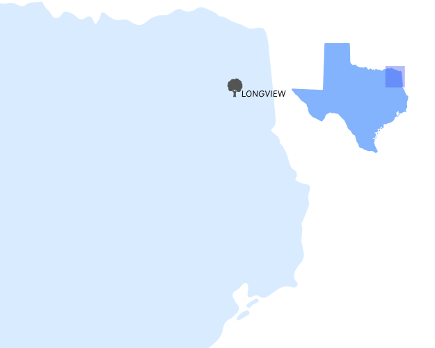 LONGVIEW LONGVIEW
