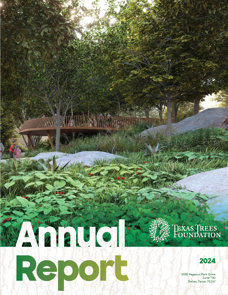 2024 Annual Report