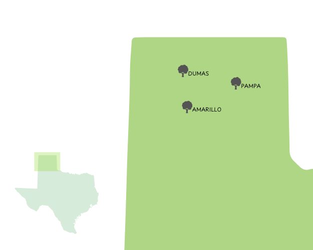amarillo amarillo