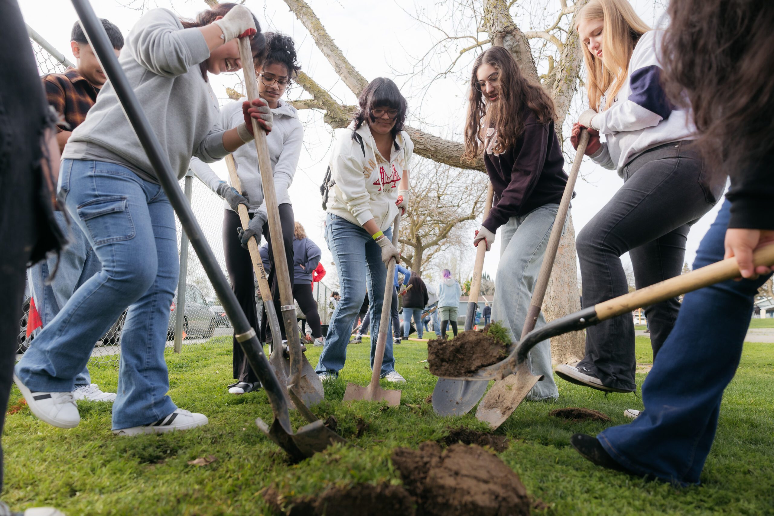 2025-Cool-Schools-Yolo-Whitehead-Planting-Web-91 2025-Cool-Schools-Yolo-Whitehead-Planting-Web-91