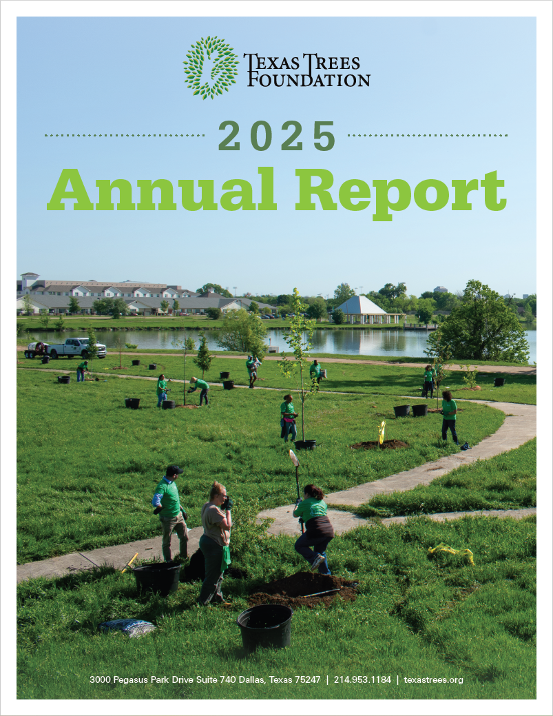 Screenshot 2026-03-06 074149