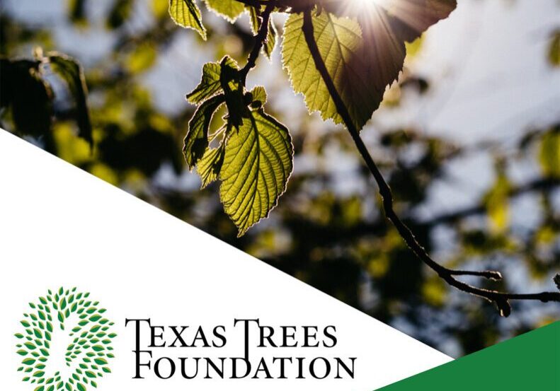 Copy of Annual Report 2021