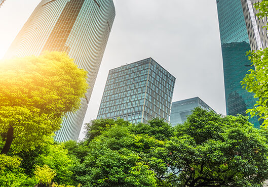 Building Exterior, Built Structure, City, Cityscape,