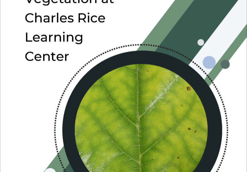 Tree-PM-Charles-Rice-Final-Report_Jan.31 Particulate Matter Filtration